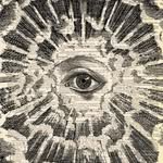 0.owllow.0 profile picture