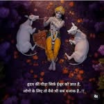 0000_radhe_krishan profile picture