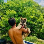 01siddharthabisht profile picture
