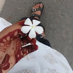 09__.vani profile picture