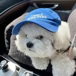 0peningme profile picture