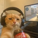 0viu77 profile picture