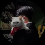 0yee_rahull profile picture