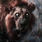 1.0.0.0.0.1.1.a profile picture