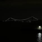 11_.nyc profile picture