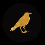 11ravens profile picture