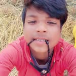 12.3098209 profile picture