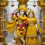 12._rahulrajput profile picture