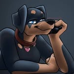 12thedobie profile picture