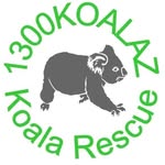 1300koalaz profile picture