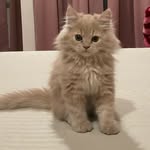 13_06_00_ profile picture