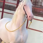 13____hargun_05 profile picture