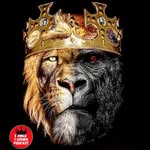 174th profile picture