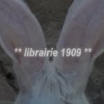1909.bookstore profile picture