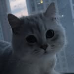 1920_35 profile picture