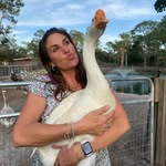 1crazyanimalhouse profile picture
