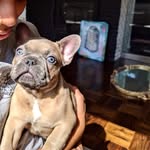 1handsomeharlem profile picture