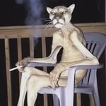 1inchmrdark profile picture