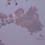 1udxvic profile picture