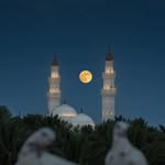 20allwalid profile picture