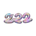 222consulting profile picture