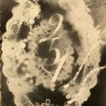251archive profile picture