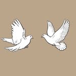 2dovesvintage profile picture