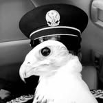 2flhb profile picture