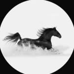 2l.mf profile picture