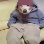 2manyfinds profile picture