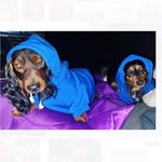 2wieners_leo_rhett profile picture