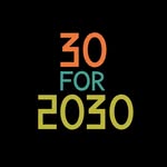 30for2030 profile picture