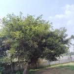 3107_mohit profile picture