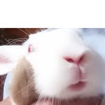 3858innocent profile picture