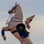 3amer_althawadi profile picture