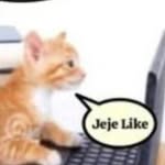 3zk4l0p3ndr4 profile picture