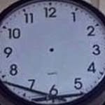42rqfa profile picture