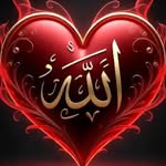 47.29107958 profile picture