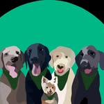 4doodlesandayorkie profile picture