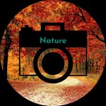 4k_vibes_01 profile picture
