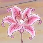 4kuell profile picture
