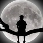 4yynx._fk profile picture