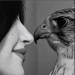 5.a.hg profile picture
