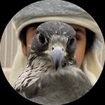 5.v2n profile picture
