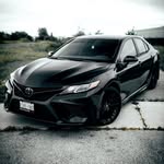 519nightshade profile picture