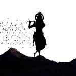 7999.shanu profile picture