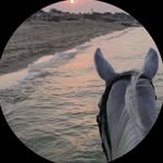 7no0ni_017 profile picture