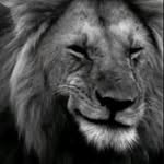 7xx5f profile picture