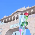 8412ramu profile picture