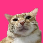 853momo_yum_ profile picture